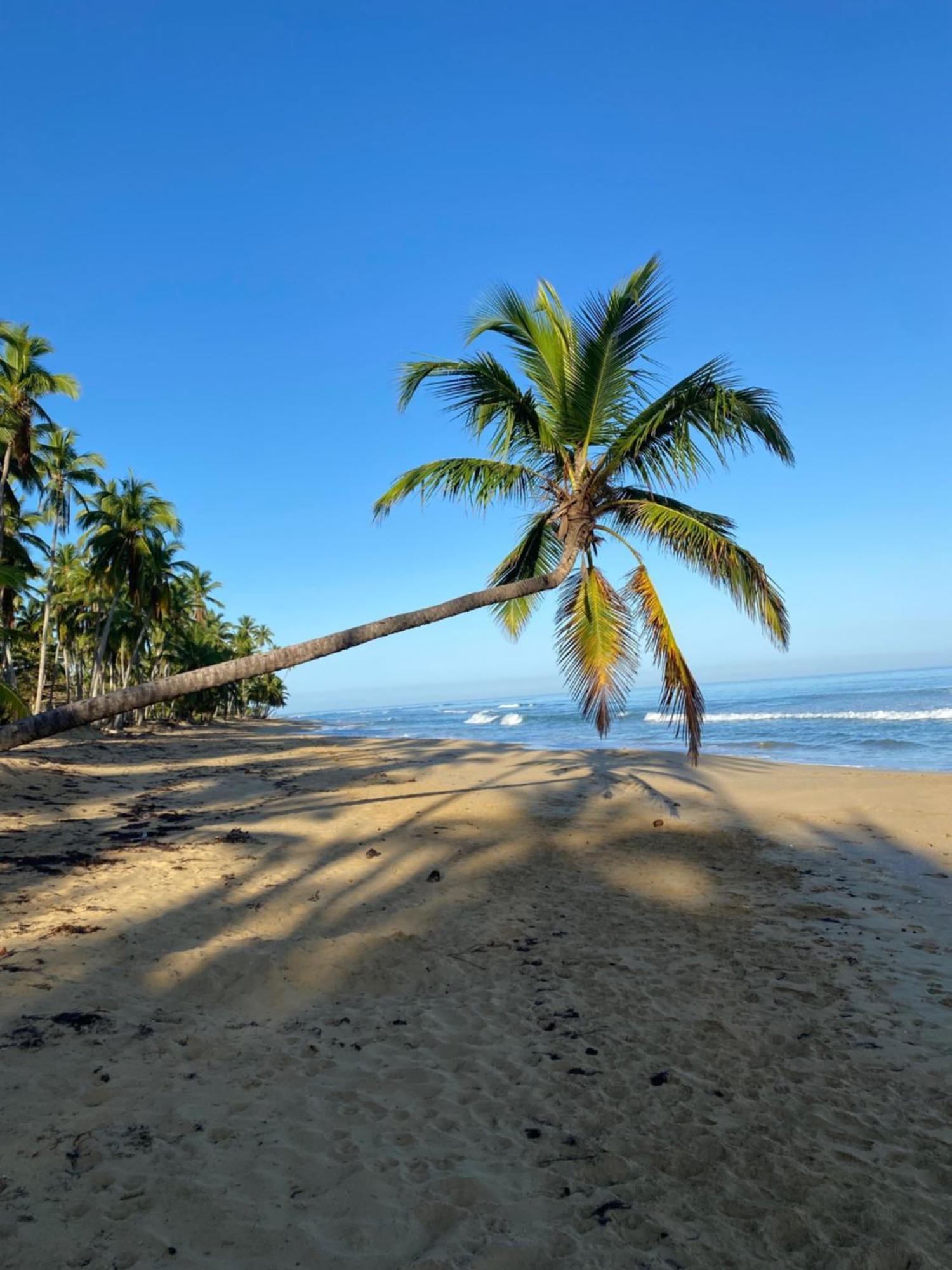 Hotel Casa Coson Las Terrenas Eksteriør billede